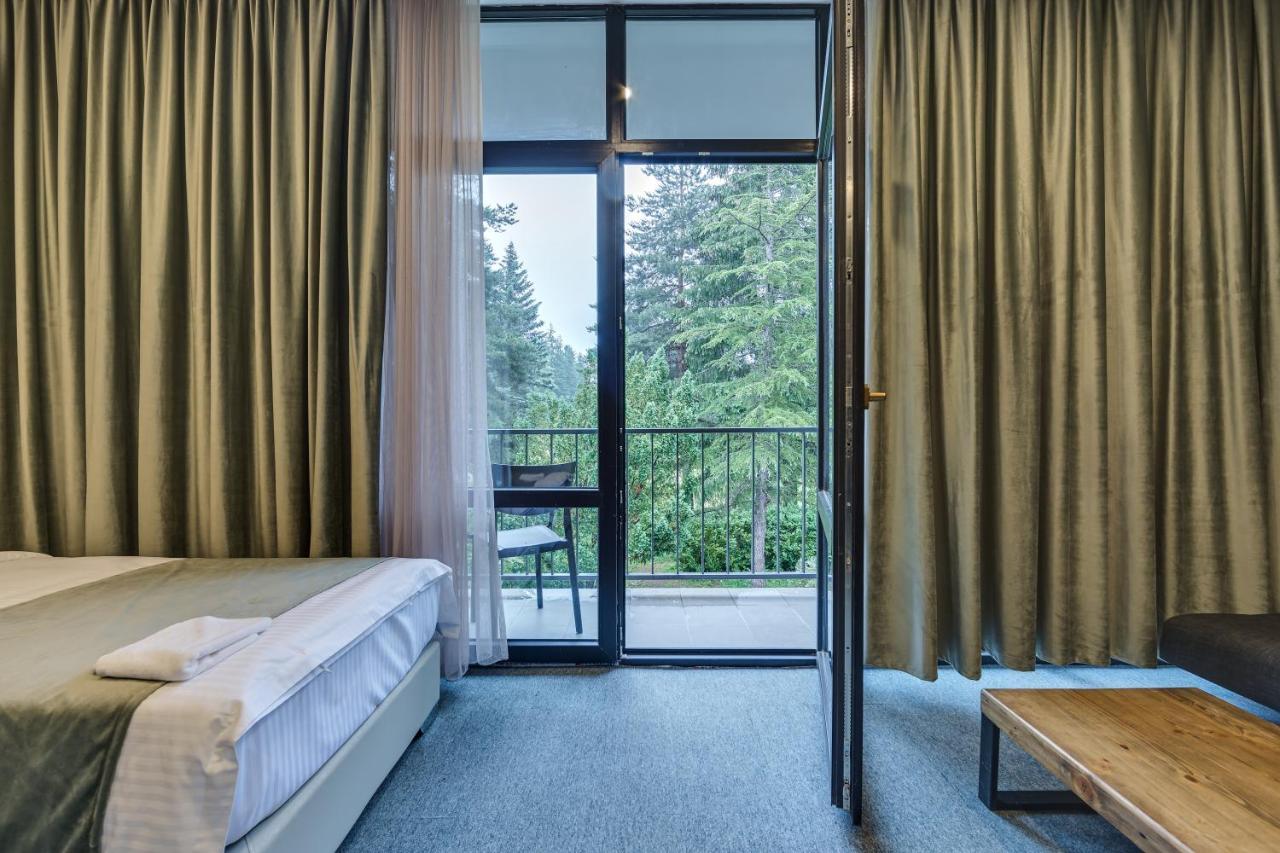 Mountain Resort Gantiadi 博尔若米 外观 照片