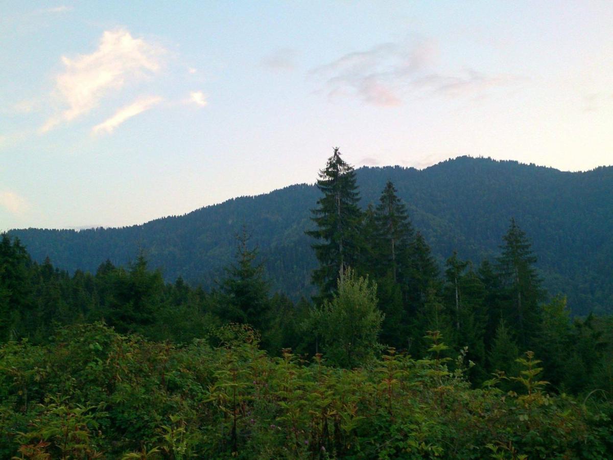 Mountain Resort Gantiadi 博尔若米 外观 照片