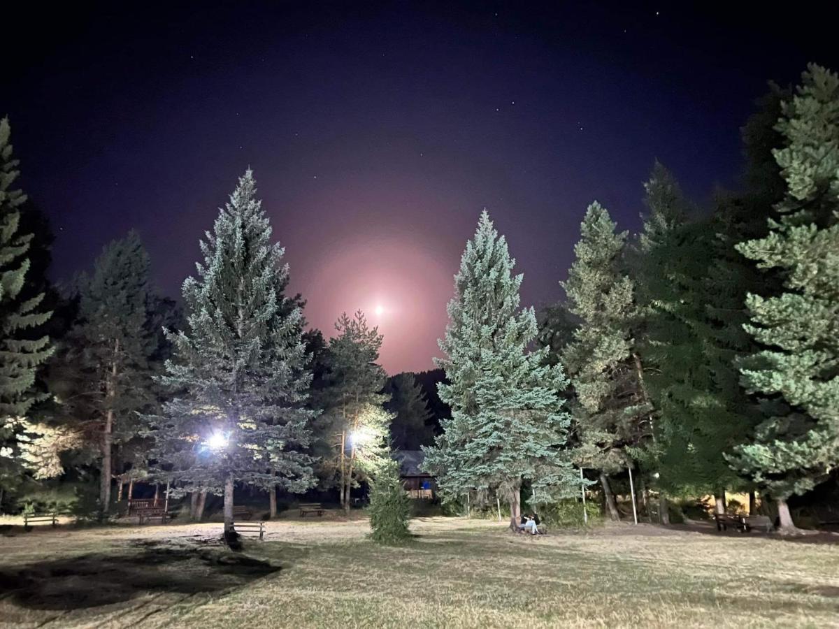 Mountain Resort Gantiadi 博尔若米 外观 照片