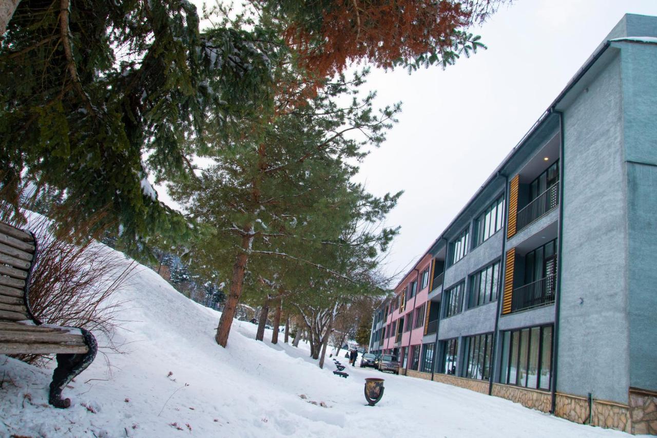 Mountain Resort Gantiadi 博尔若米 外观 照片